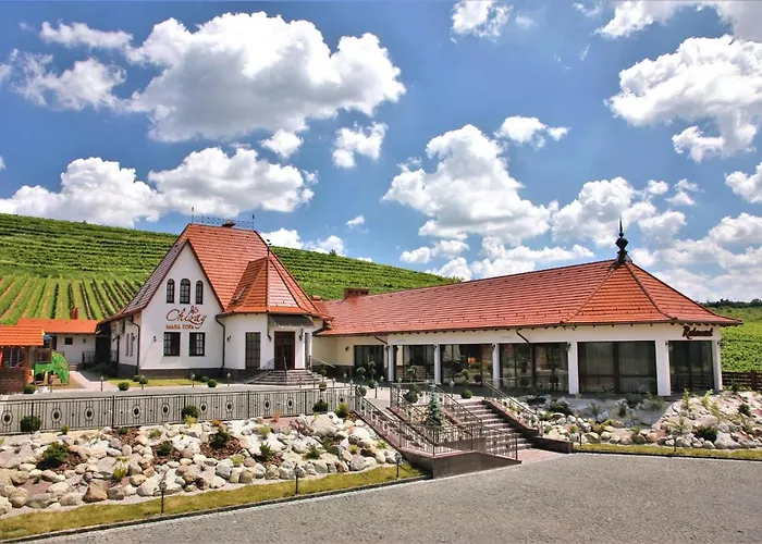 Готель Chizay. Мала Гора Берегове